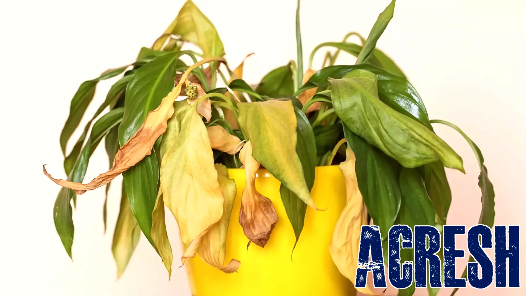 Alexandria Real Estate: My Plan To Wait It Out Fell Apart