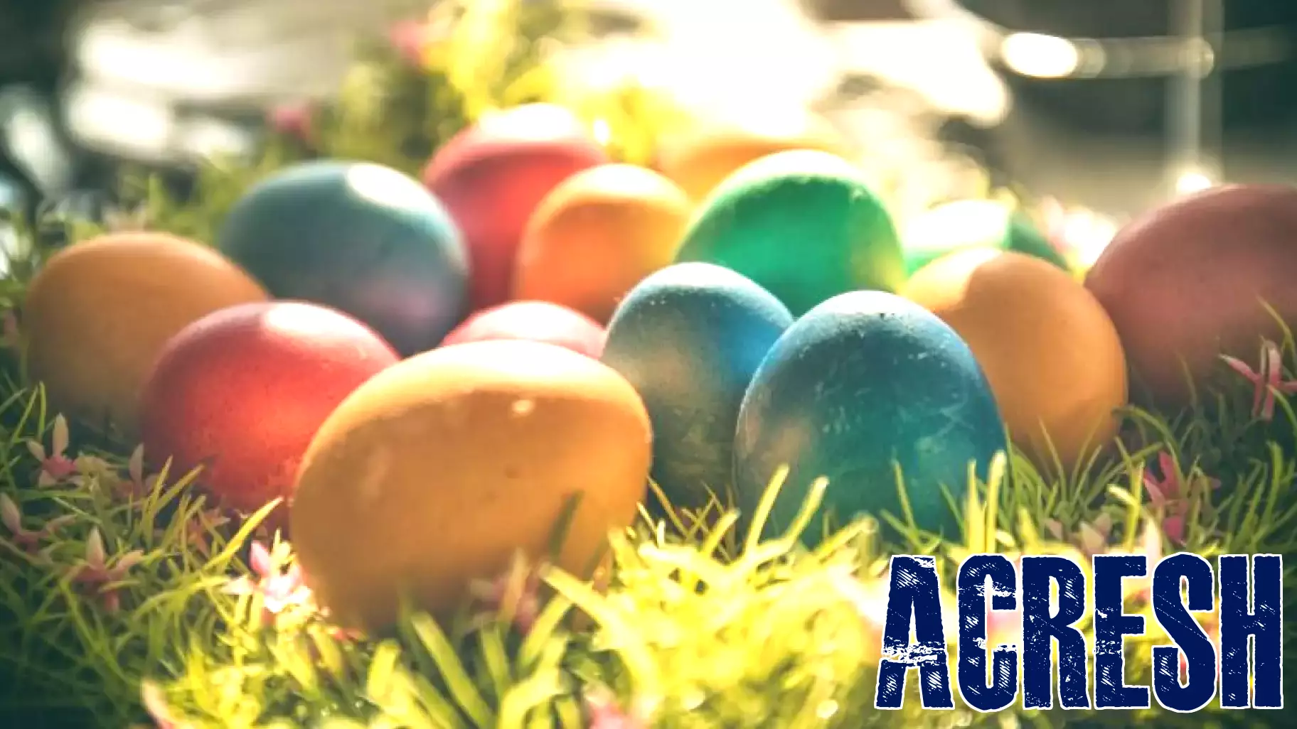 Lubbock Real Estate Company to Host Inaugural Easter Egg Hunt